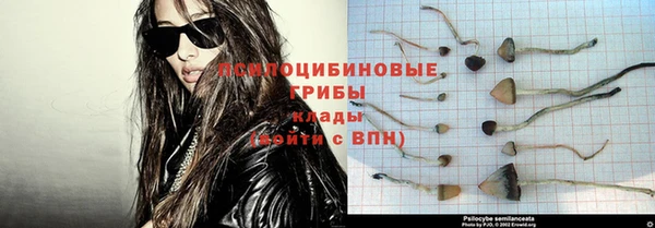 спайс Абинск