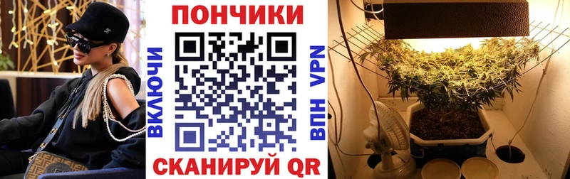 маркетплейс какой сайт  Фурманов  Шишки марихуана Ganja 